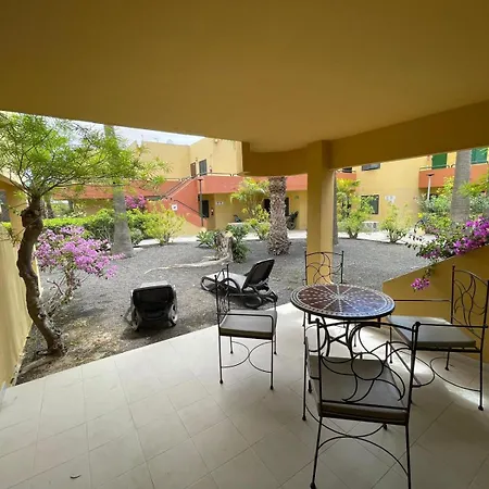 Paraiso Lulu La Oliva