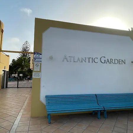 Paraiso Lulu * La Oliva